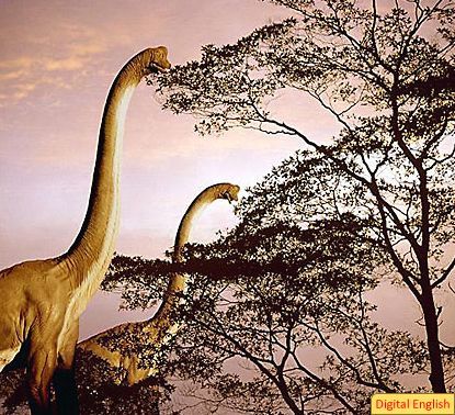 tall plant eating dinosaur